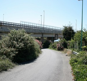 erbacce_svincolo_s_filippo